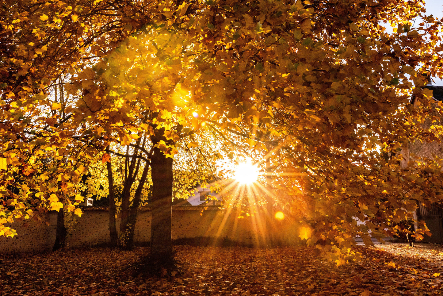 Feeling Tired? How Vitamin D (and Collagen) can help us , particularly in the Winter months- By Dr B